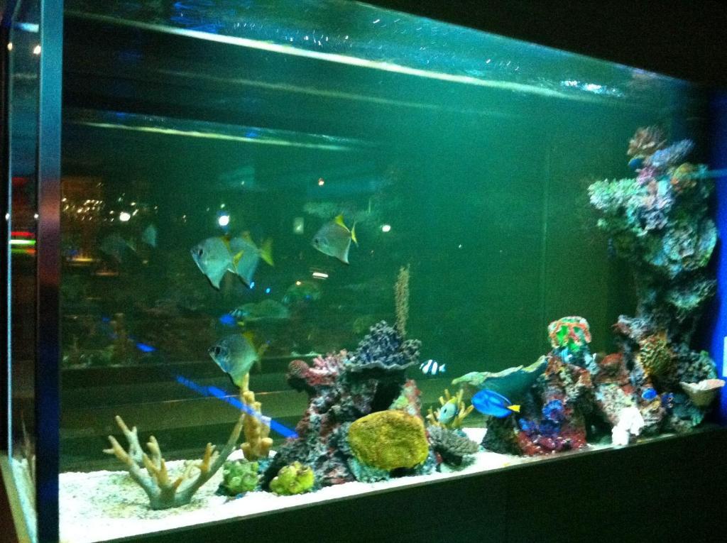 Blue Boutique İzmir